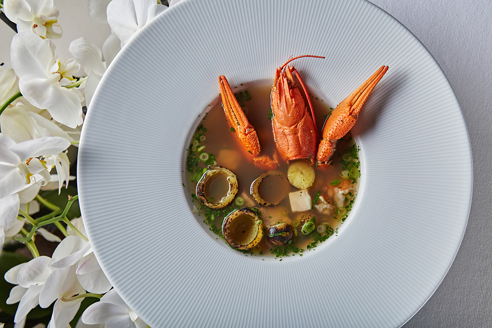 Белуга Белуга