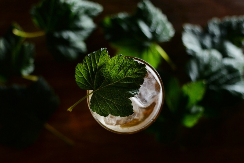 Mr. Willard Mr. Willard