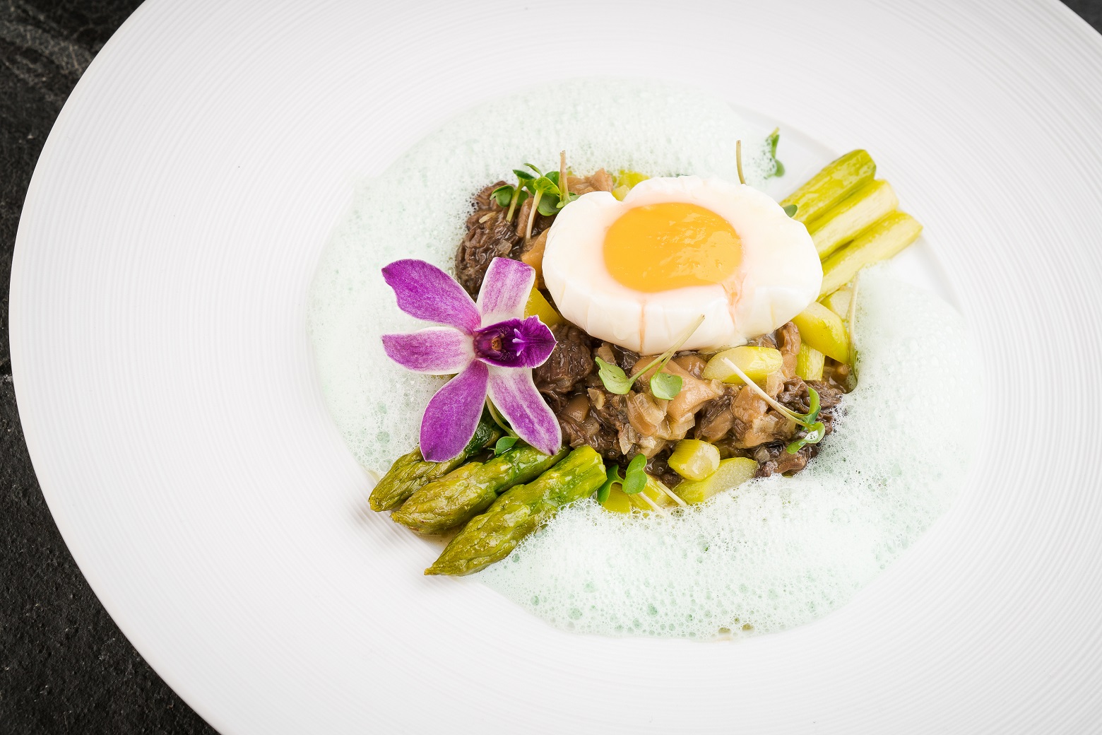 Anatoly Komm for Raff House