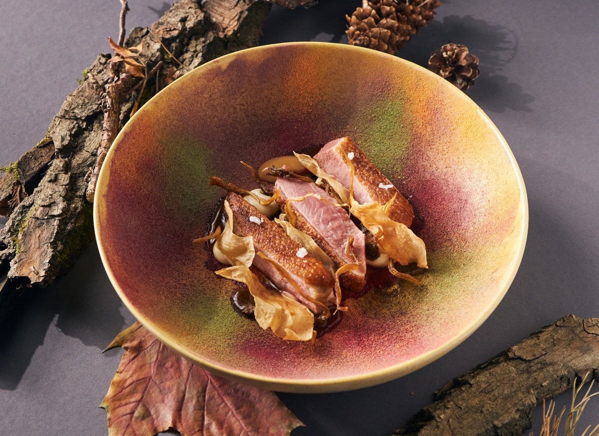 Bourgeois Bohemians Bourgeois Bohemians