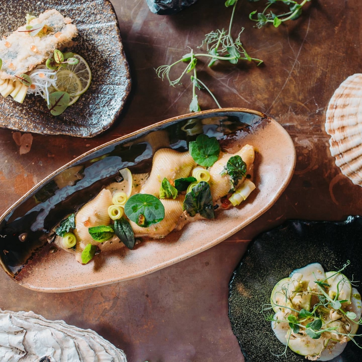 Кашалот Кашалот