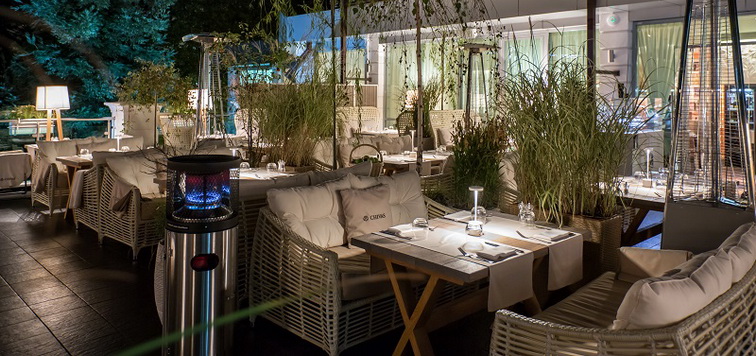 Плакучая ива Плакучая ива