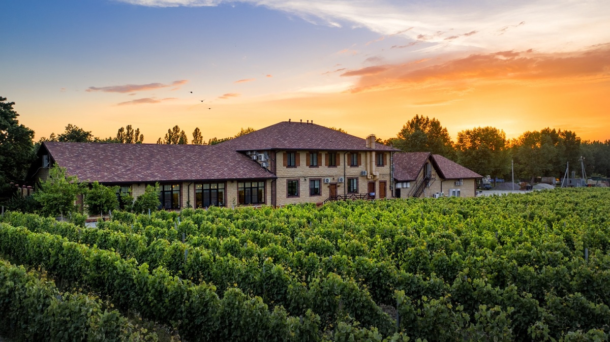 Винотеррия Винотеррия