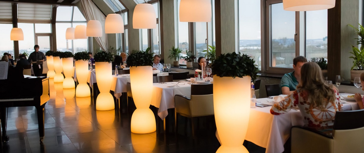 Стрижи Стрижи