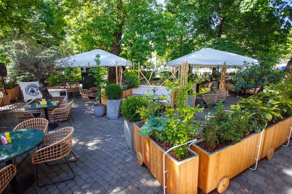 Птичка-Невеличка Птичка-Невеличка