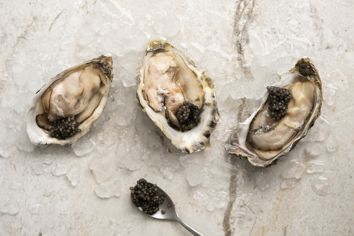 Nolan Wine & Kitchen Nolan Wine & Kitchen