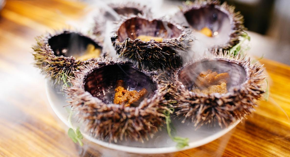 Brut is good Brut is good