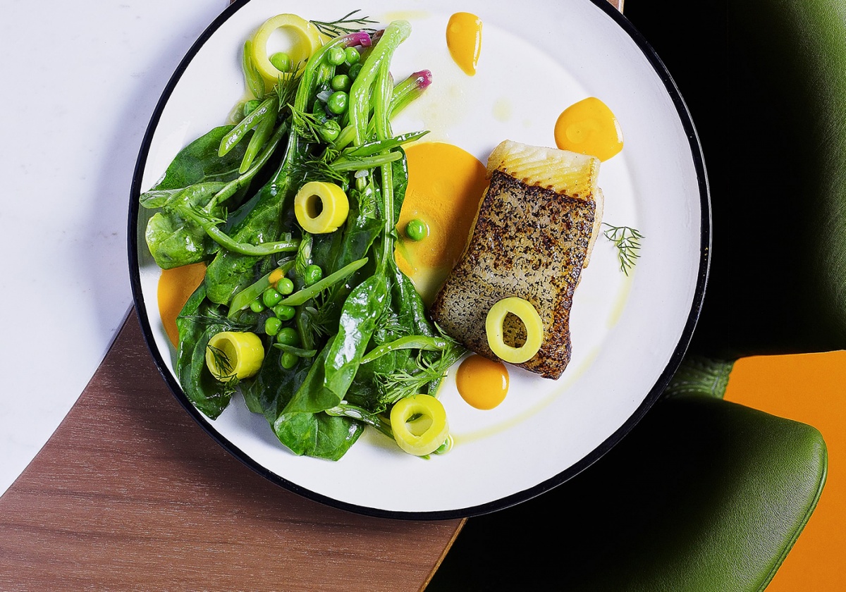 Плакучая ива Плакучая ива