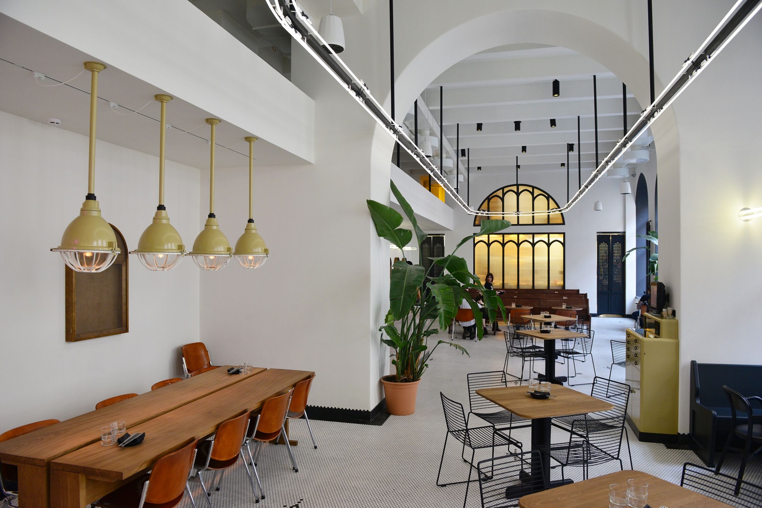 Tiger Lily Tiger Lily