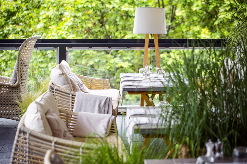 Плакучая Ива Плакучая Ива