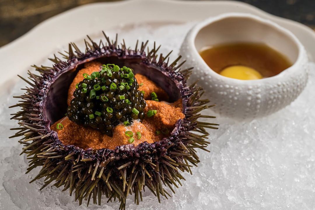 Брунелло Брунелло