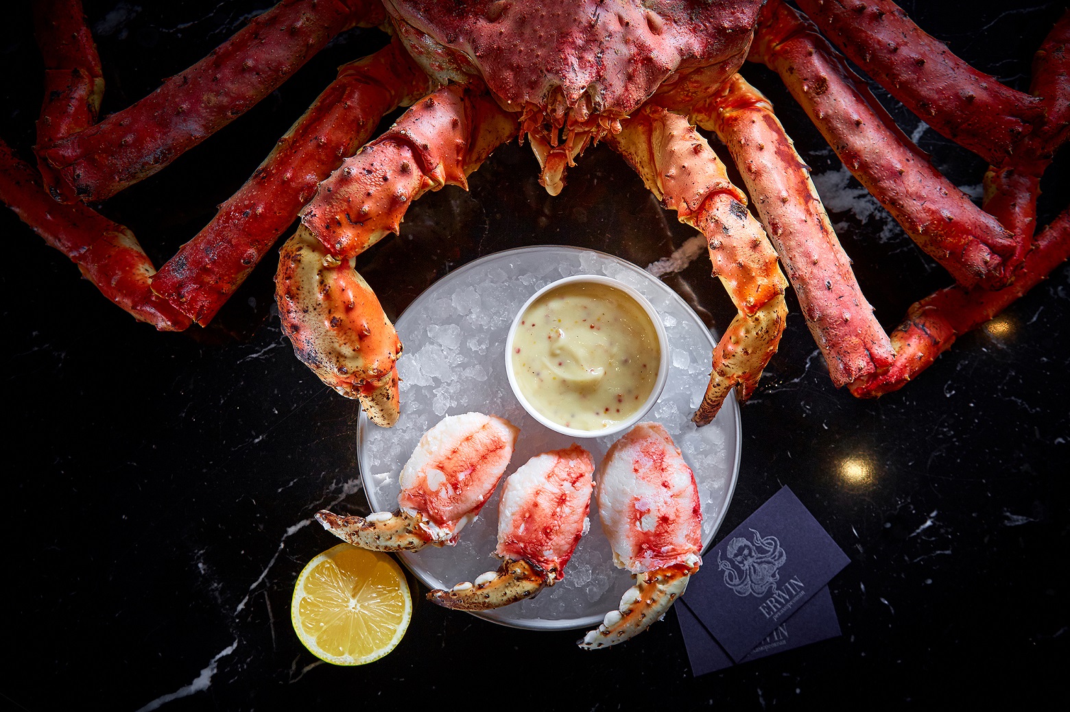 Erwin. РекаМореОкеан