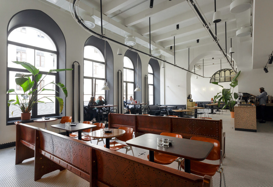 Tiger Lily Tiger Lily