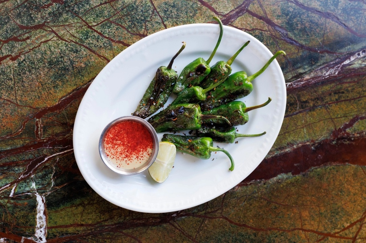 Сойка Сойка