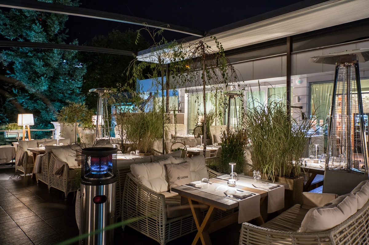 Плакучая ива Плакучая ива