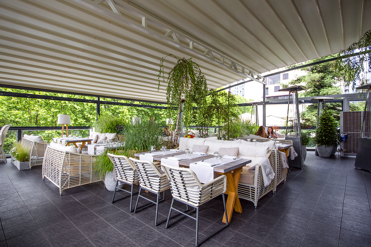 Плакучая ива Плакучая ива